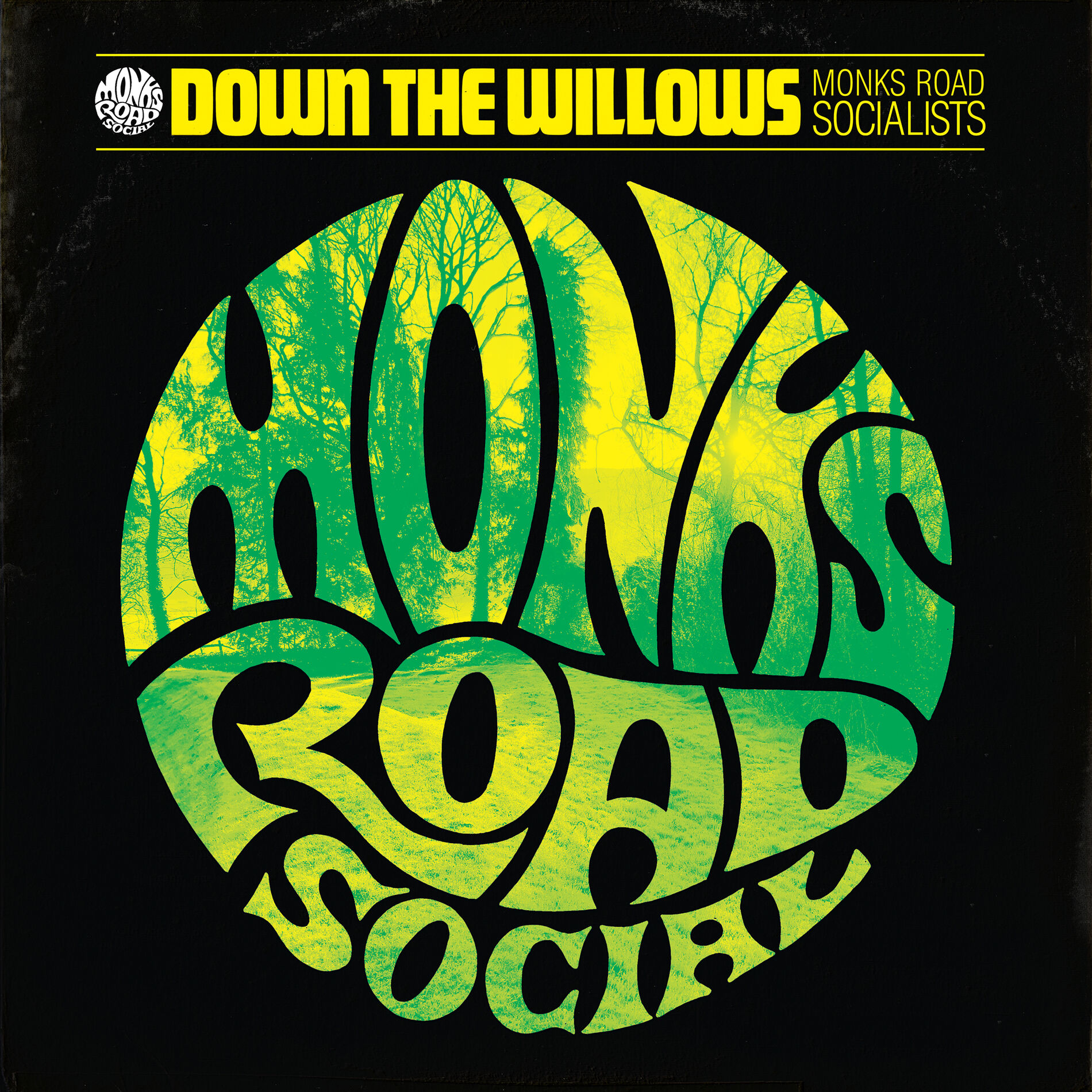 Album cover of Down The Willows