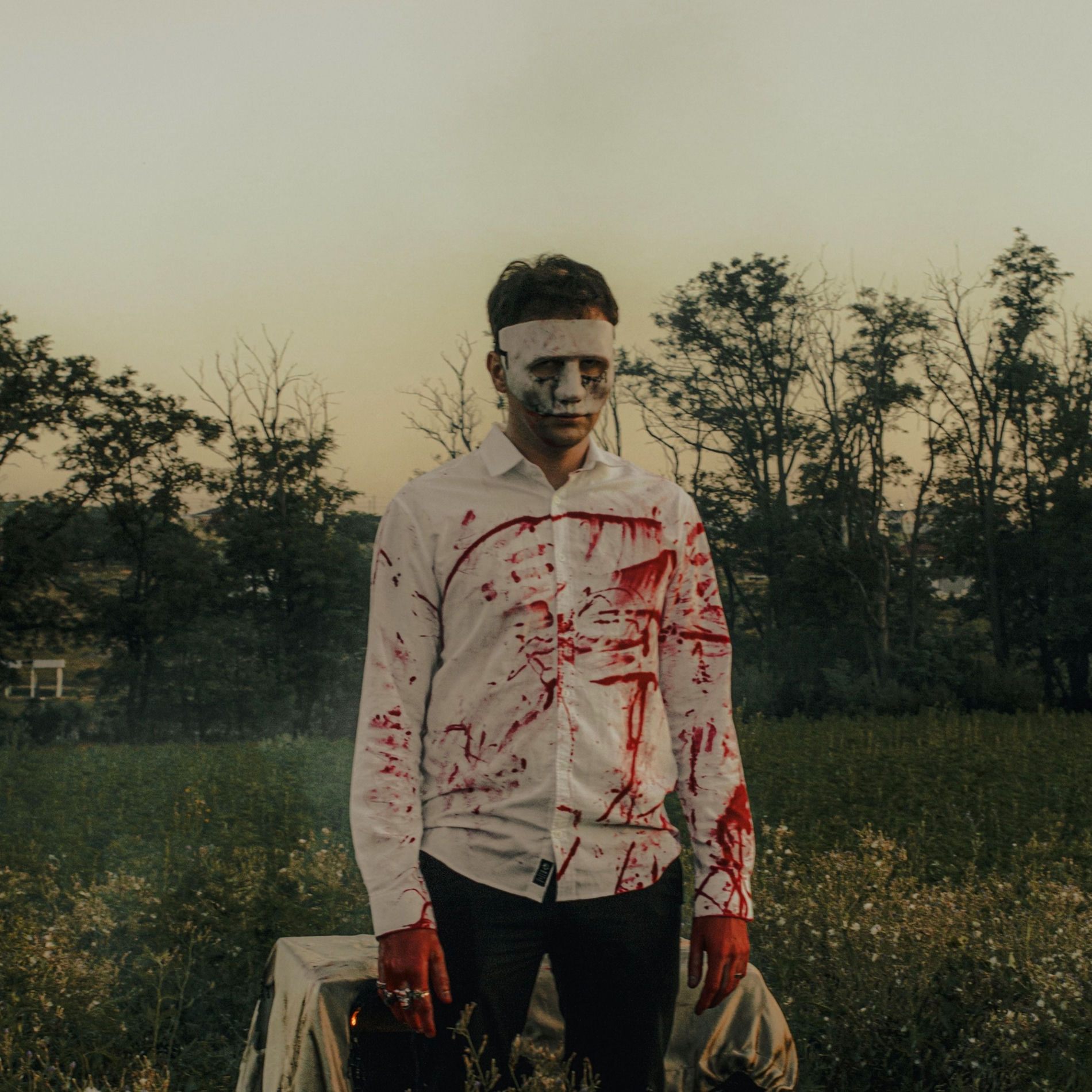 Album cover of The Forest
