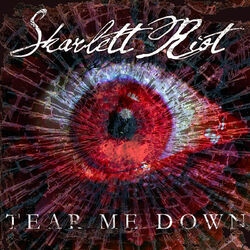 Cover of Tear Me Down