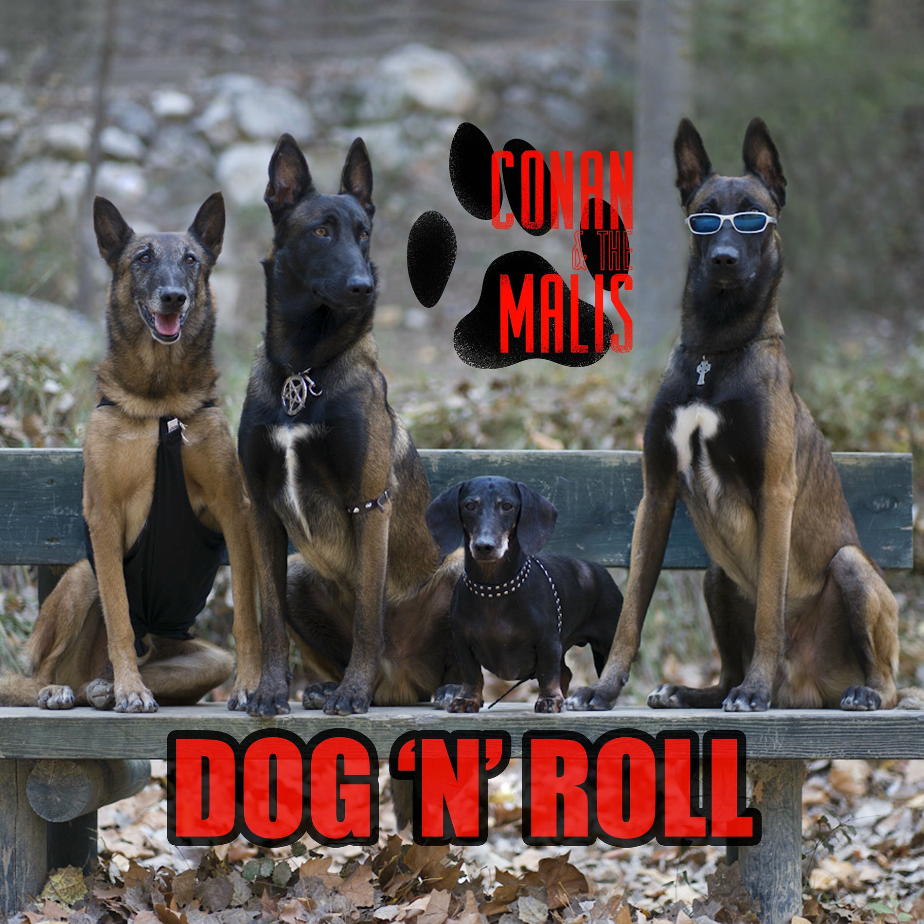 Album cover of Dog n' Roll