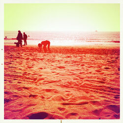 Cover of Waves in the Sea