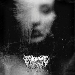 Cover of Patient 0