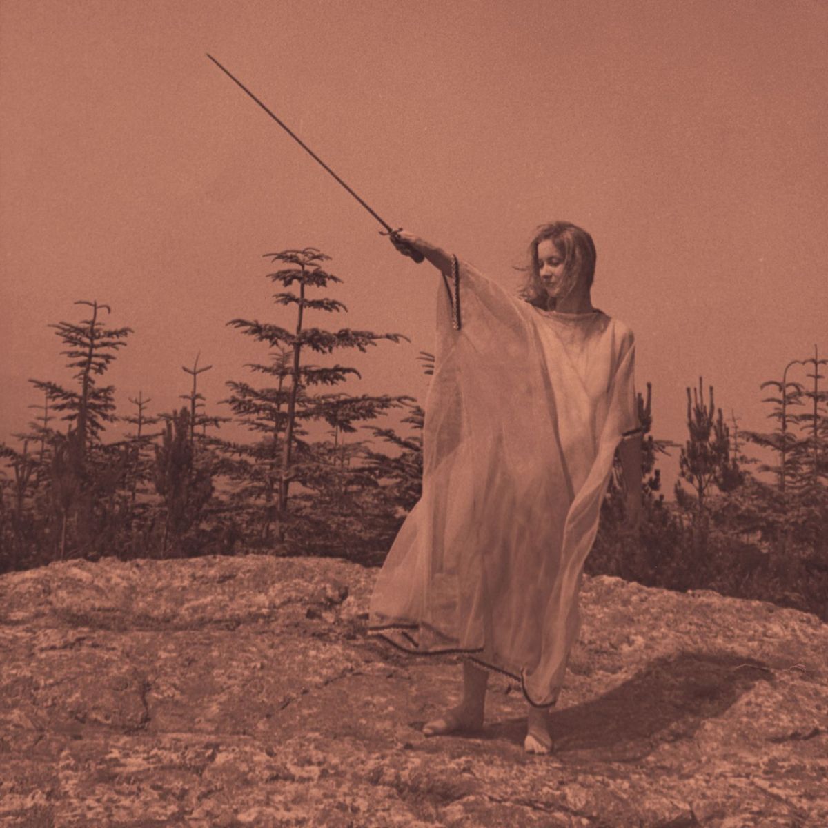 Album cover of From the Sun