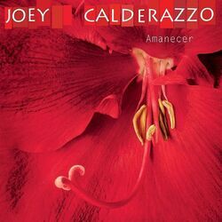 Cover of Amanecer