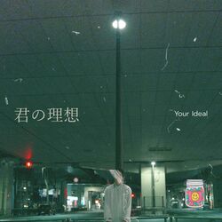 Cover of Your Ideal