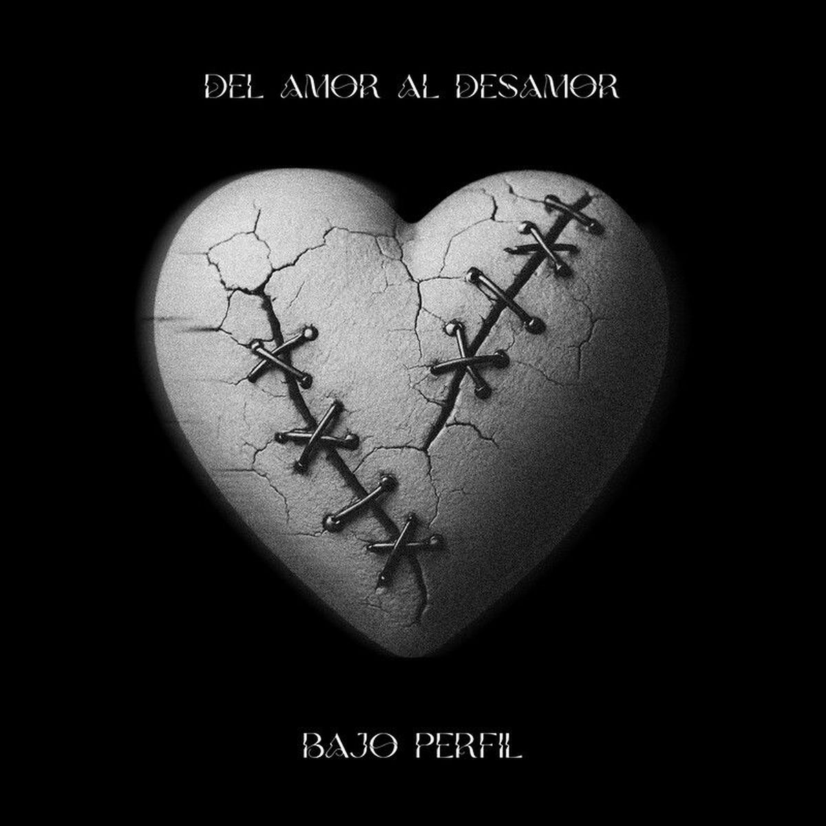 Album cover of Del Amor Al Desamor
