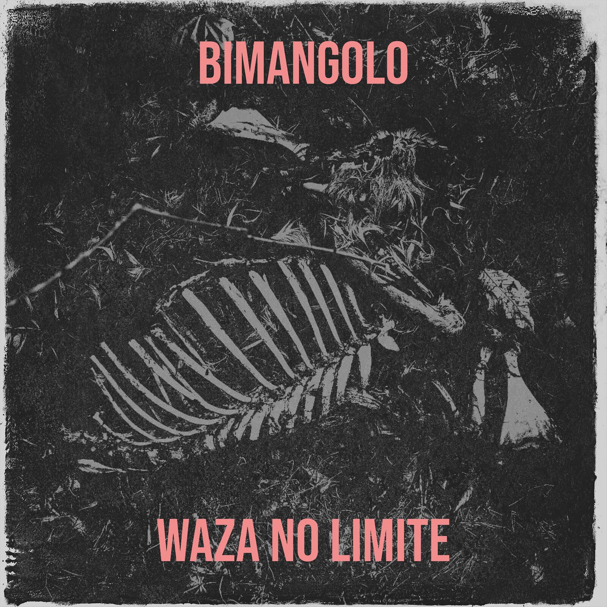 Album cover of Bimangolo
