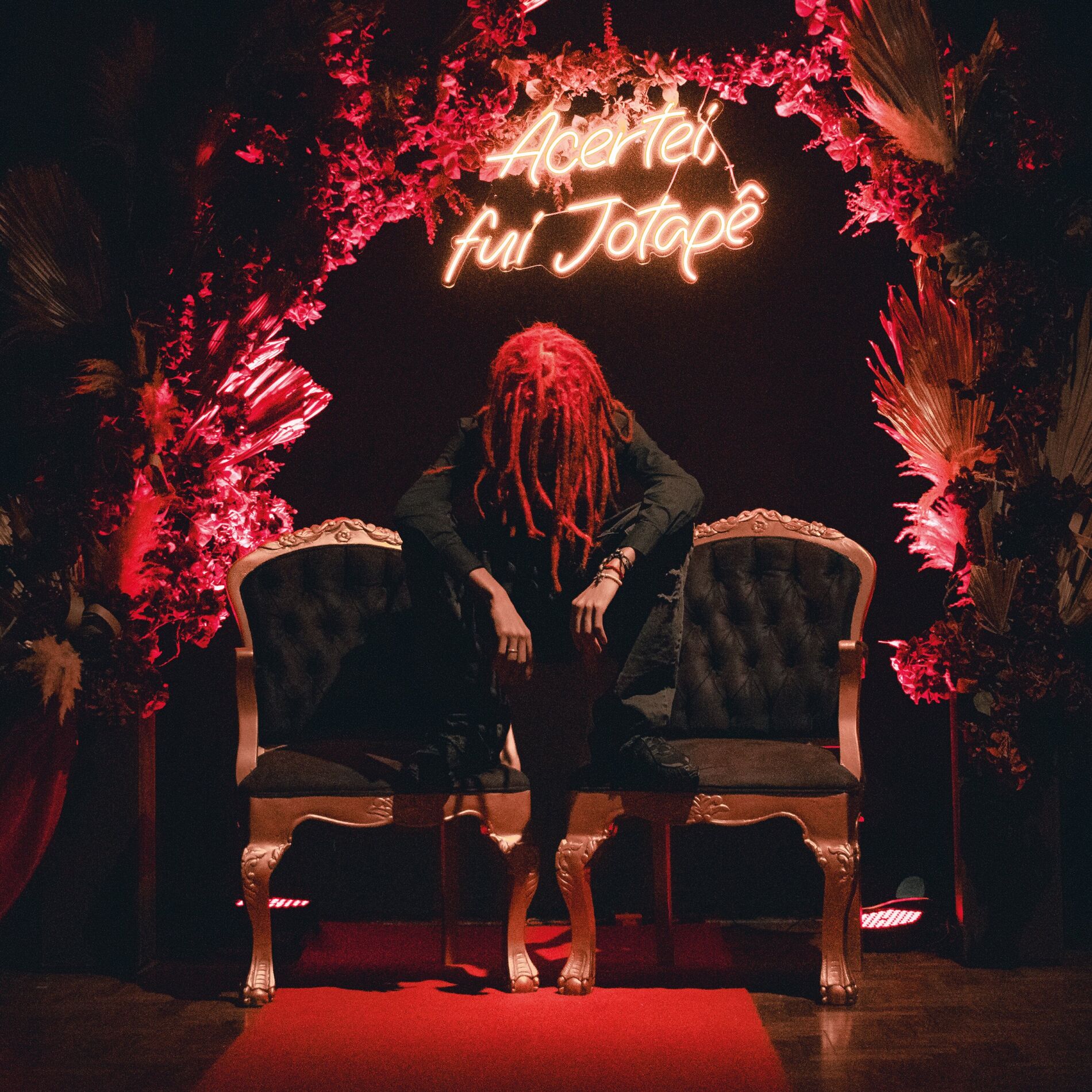 Album cover of Dualidade