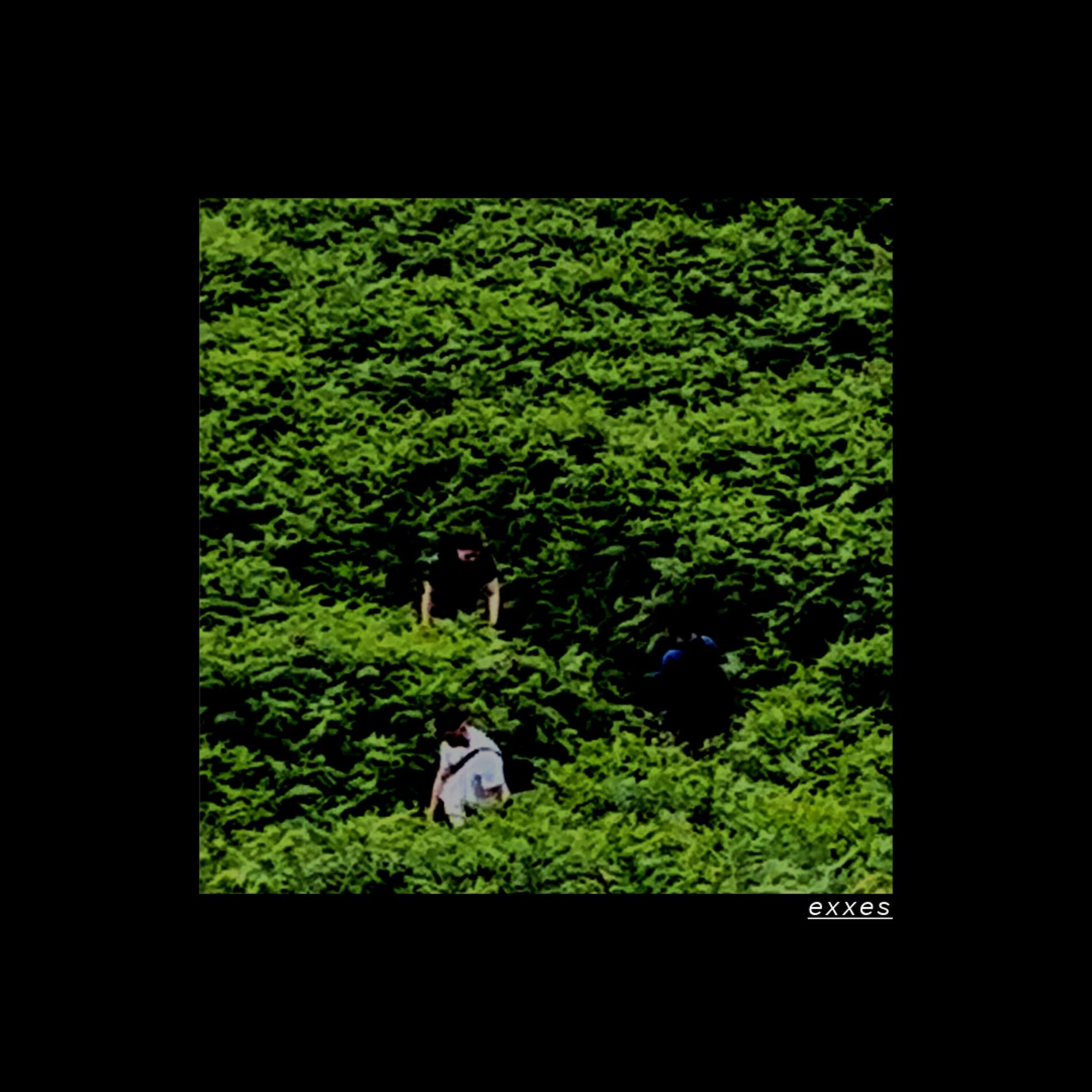 Album cover of exxes (feat. Lisa)