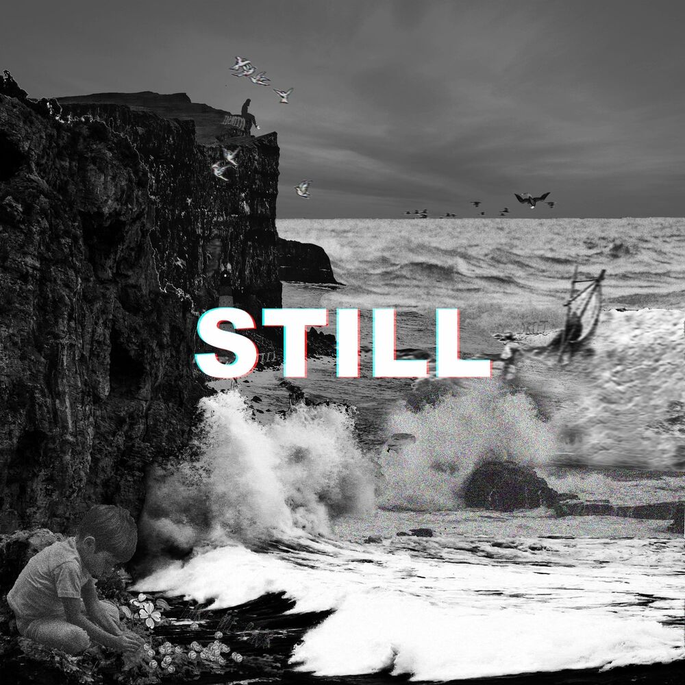 Picture of Still