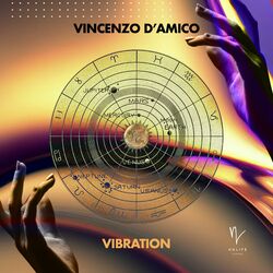 Cover of Vibration