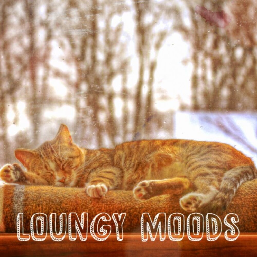 Picture of Loungy Moods
