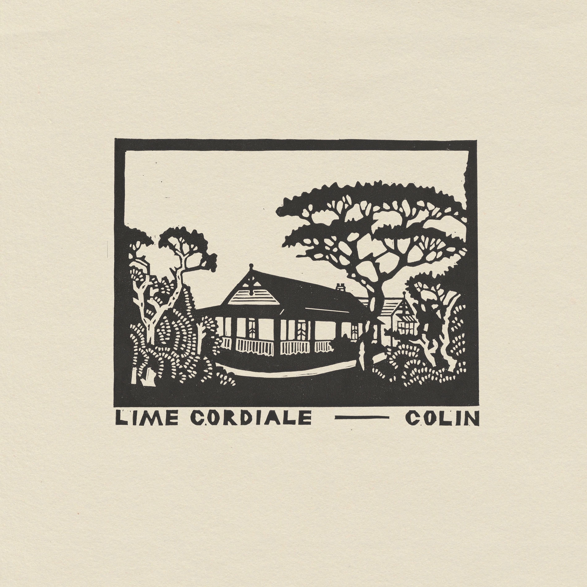 Album cover of Colin