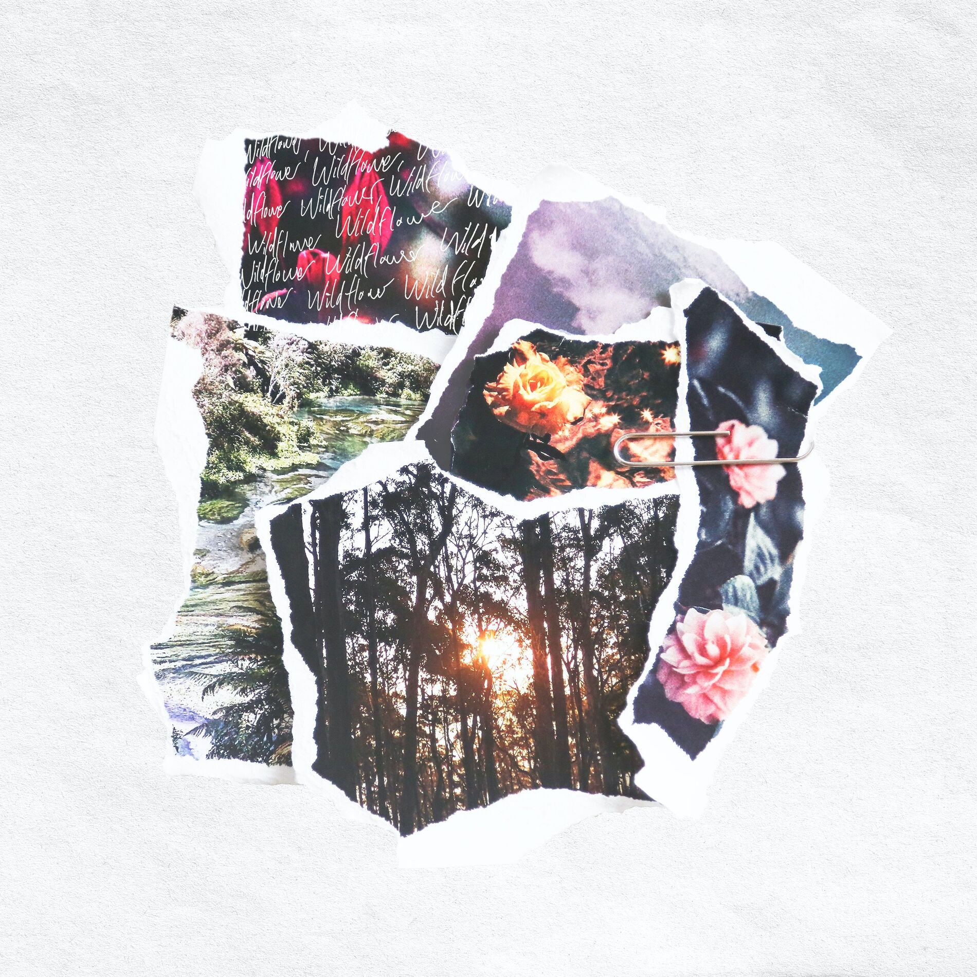 Album cover of Wildflower (Marley Carroll Remix)