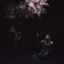 music cover