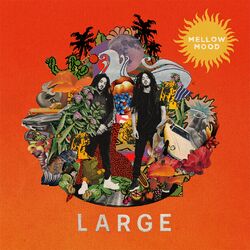 Cover of Large