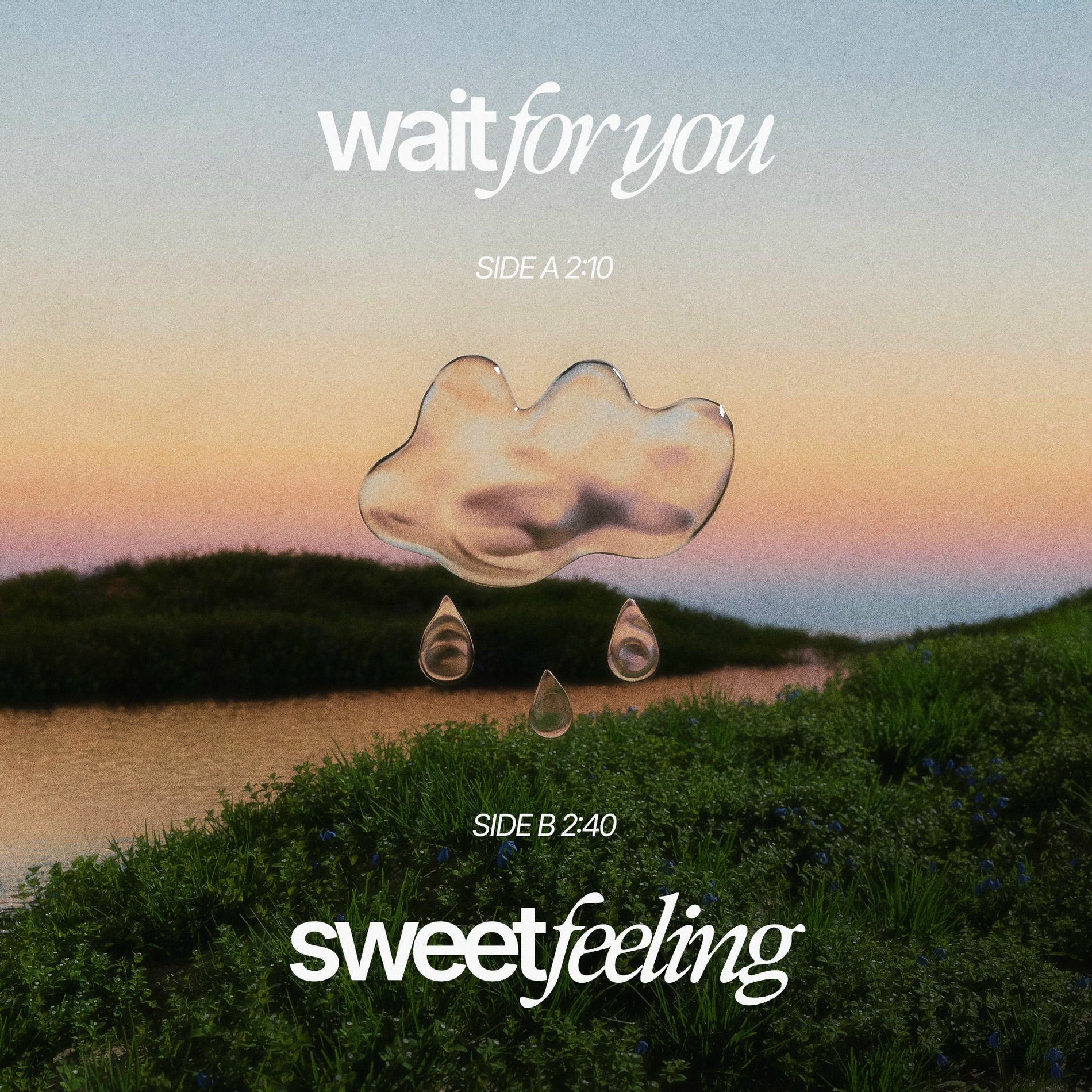 Album cover of Wait For You / Sweet Feeling