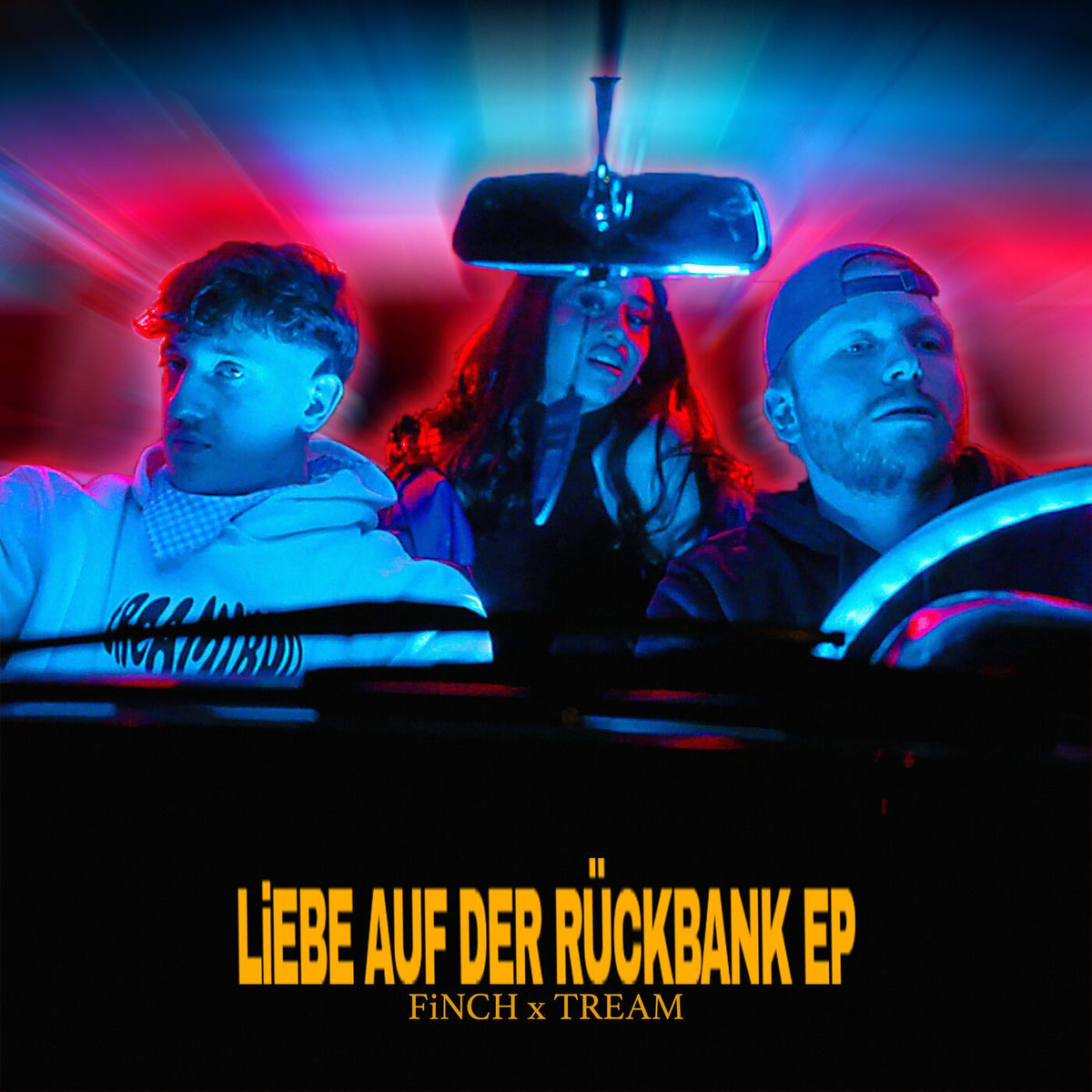 Album cover of LiEBE AUF DER RÜCKBANK