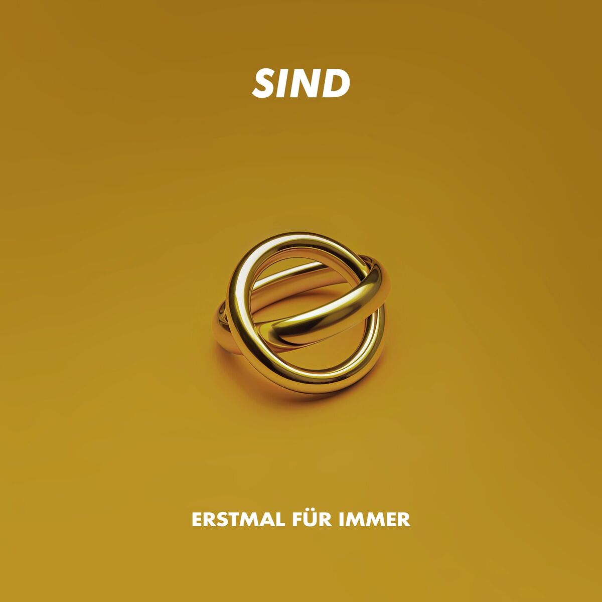 Album cover of Erstmal für immer