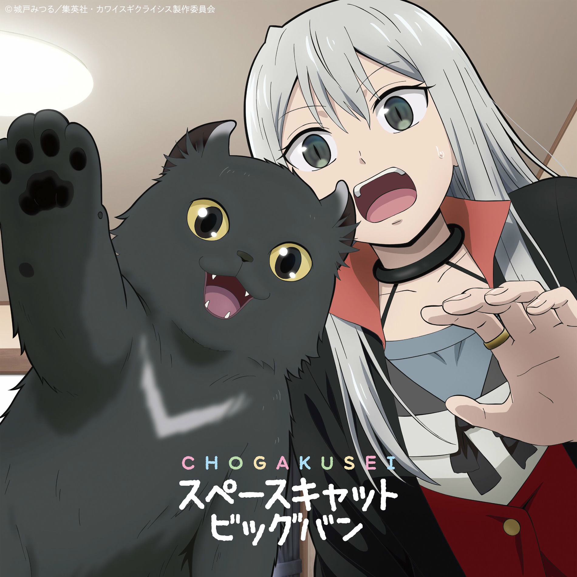 Album cover of Space Cat Big Bang