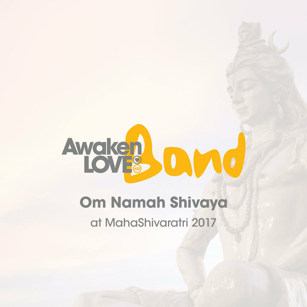 Picture of Om Namah Shivaya
