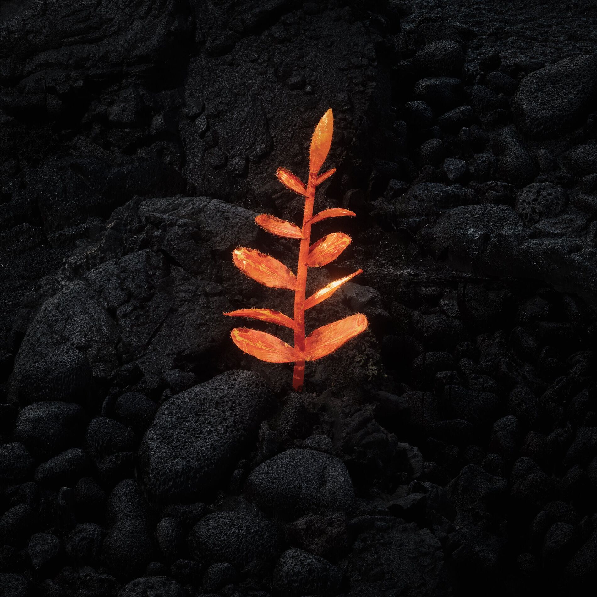 Album cover of Revival