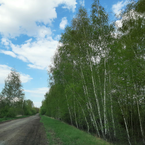 Где ты раньше была