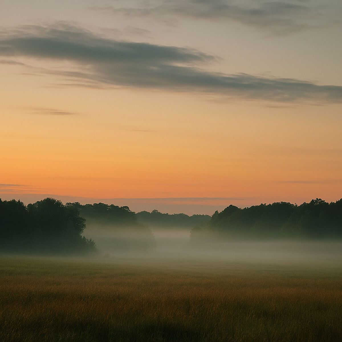 Album cover of 10 AM Waterfronts: Hollow Field