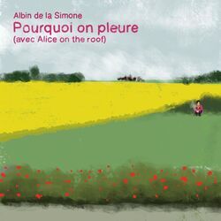 Cover of Pourquoi on pleure