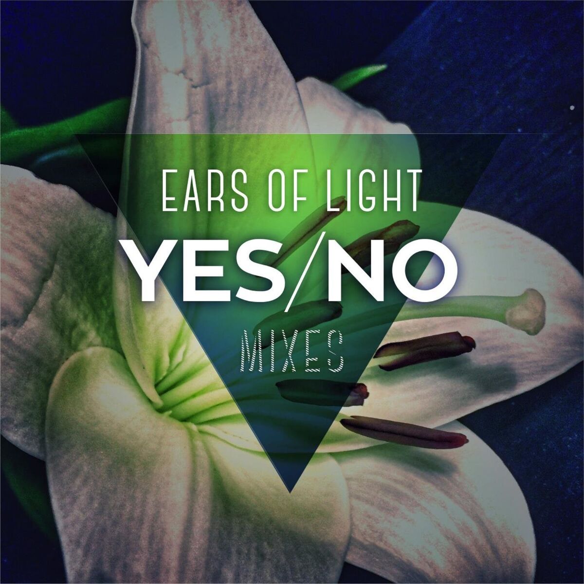 Album cover of Yes/No