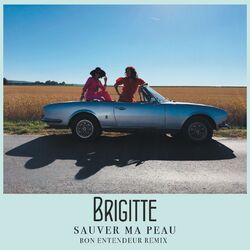 Cover of Sauver ma peau (Bon Entendeur Remix)