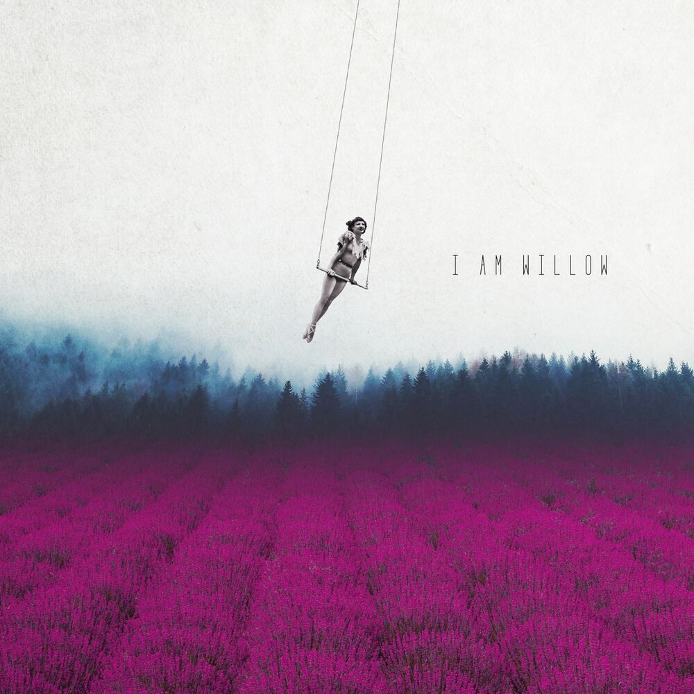 Picture of Take It All