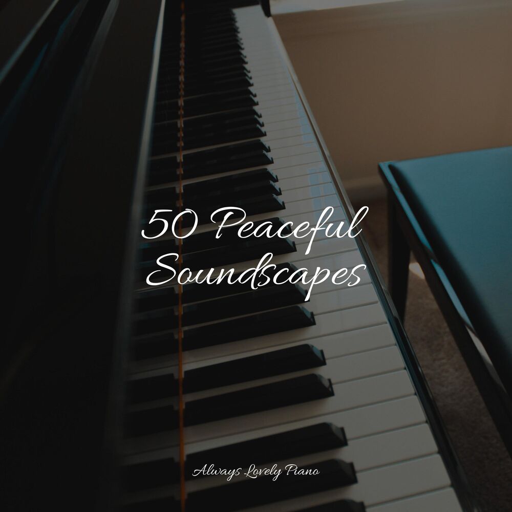 Picture of 50 Sounds to Soothe Your Mind