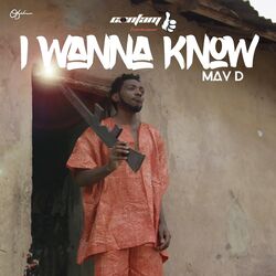 Cover of I Wanna Know