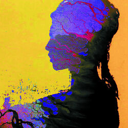 Cover of Dilate