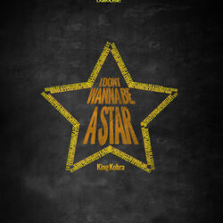 Cover of I Don't Wanna Be A Star