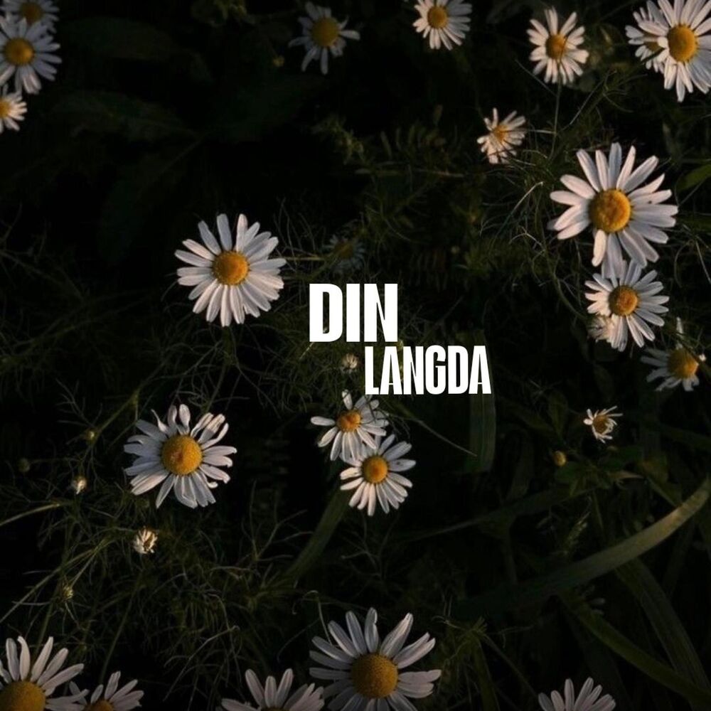 Picture of Din Langda