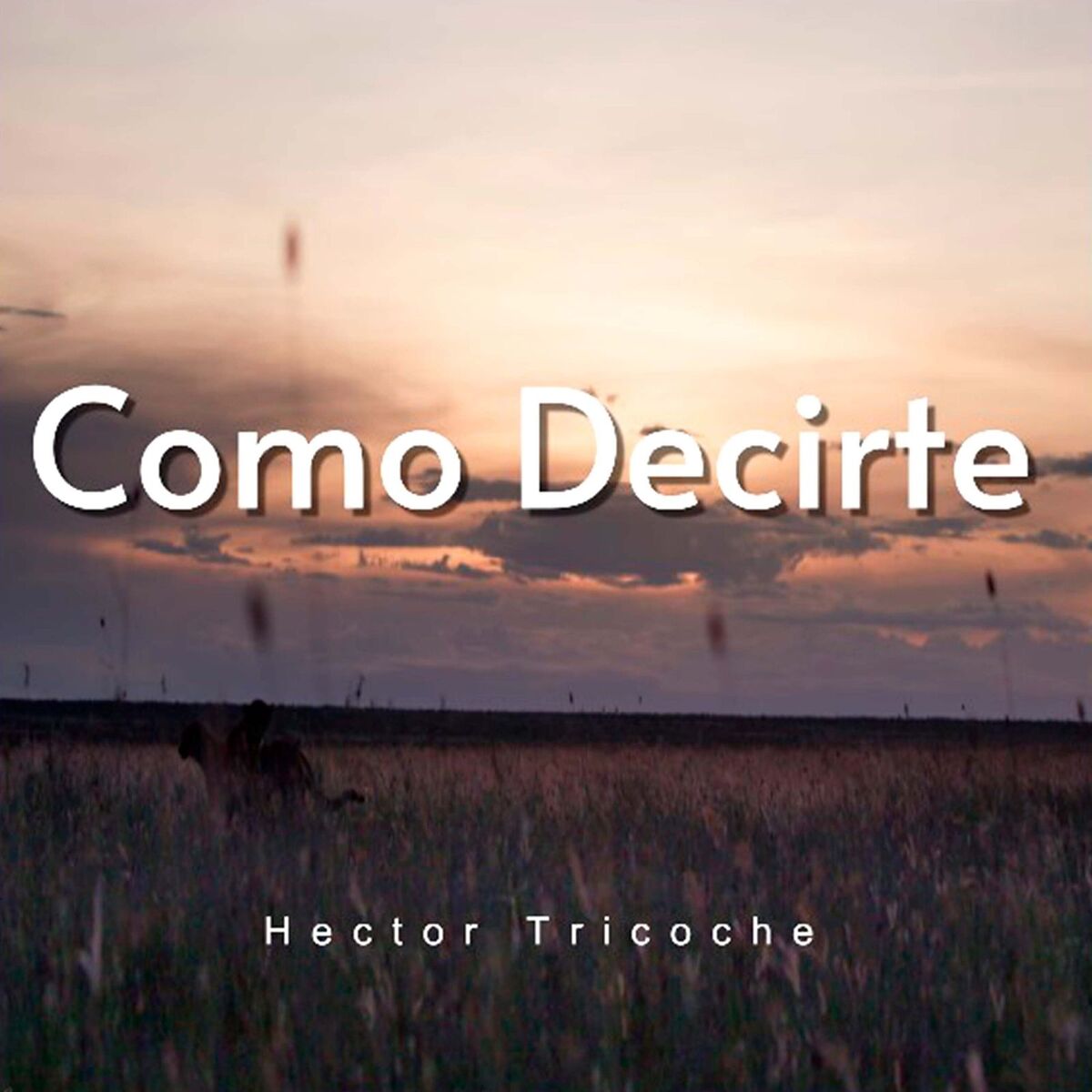 Album cover of Lo Siento