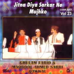 Cover of Jitna Diya Sarkar Ne Mujhko