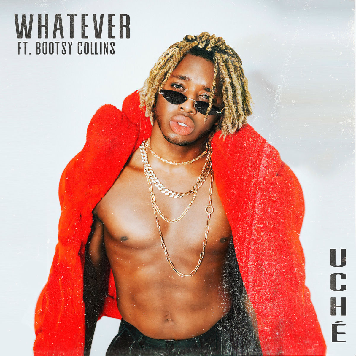 Album cover of Whatever