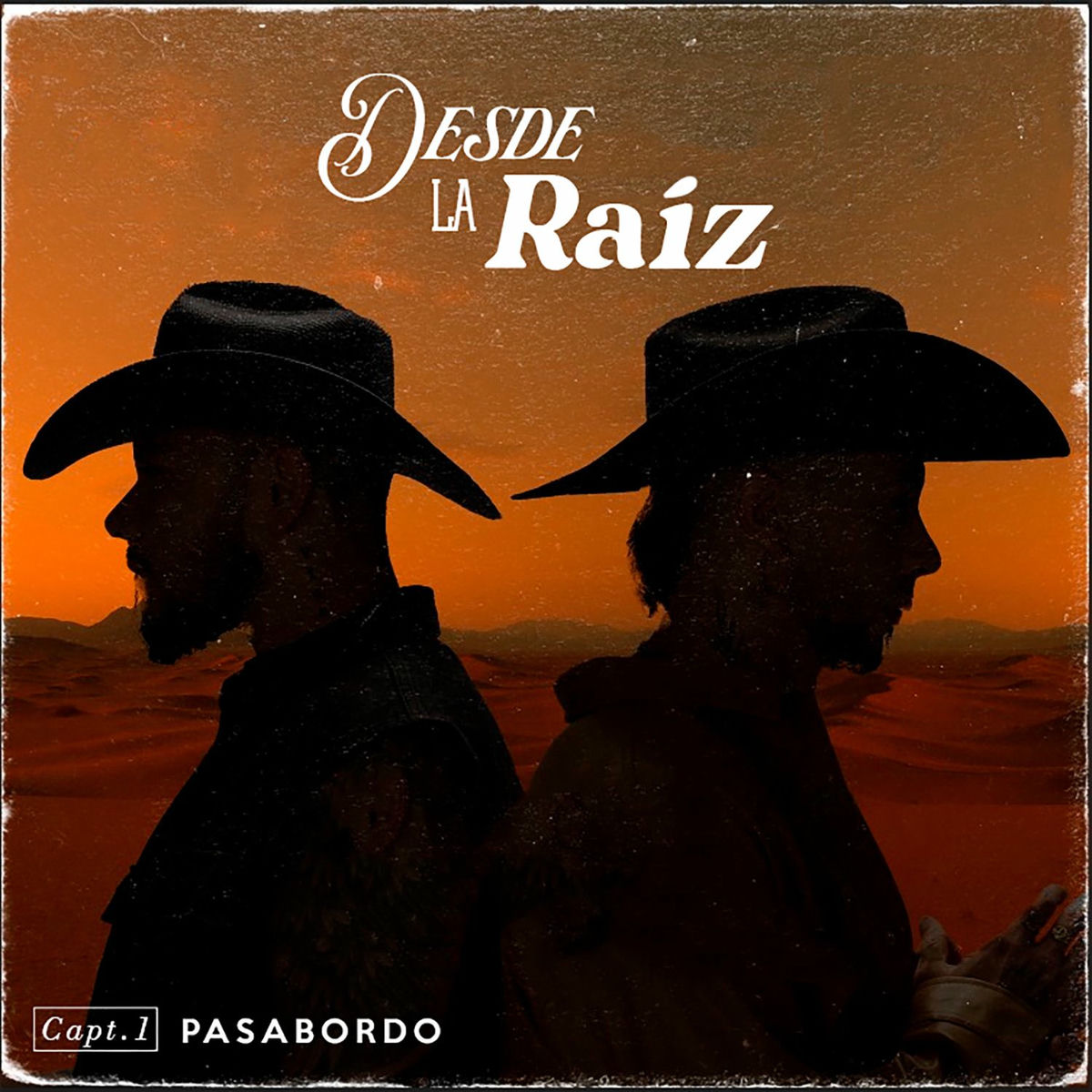 Album cover of Desde la raíz