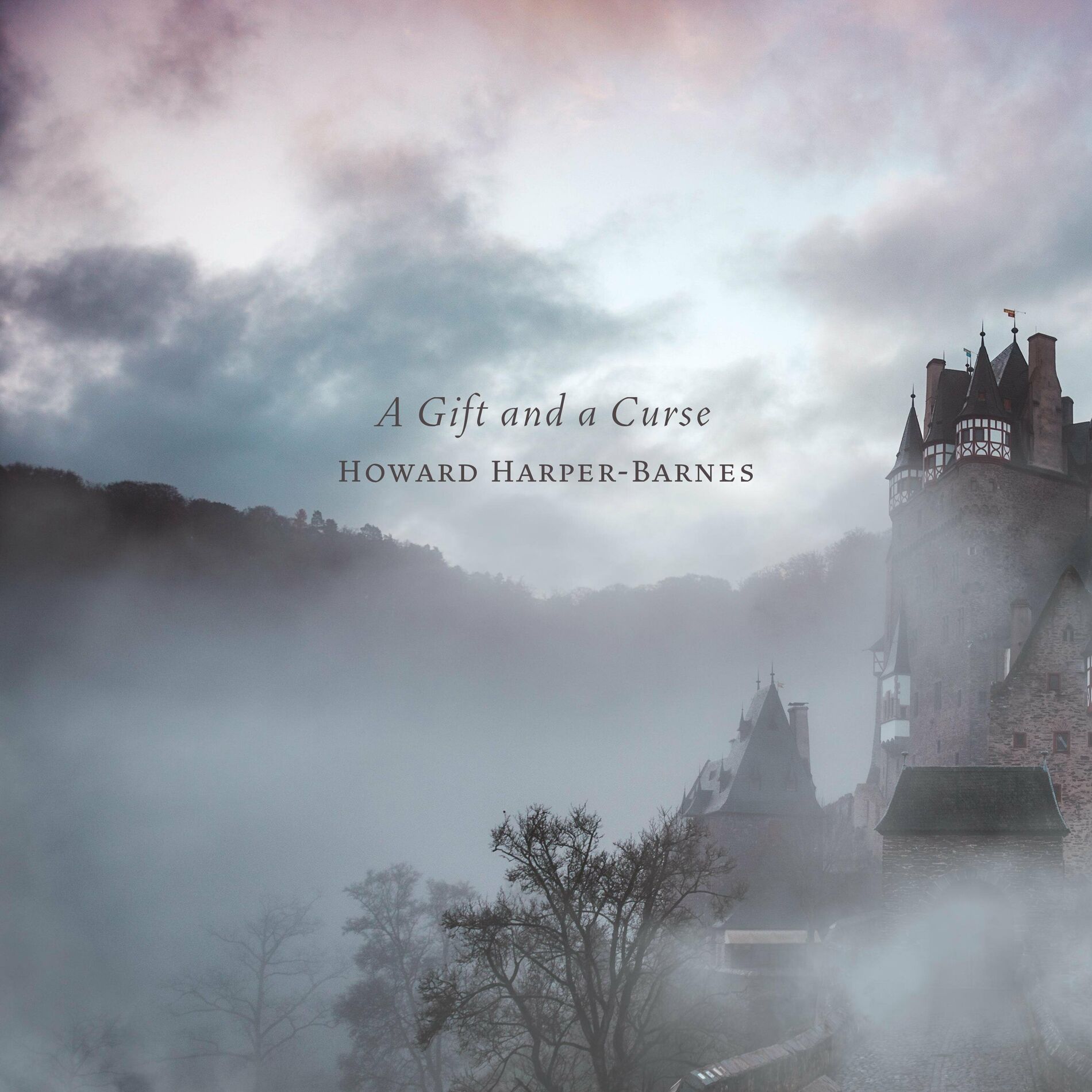 Album cover of A Gift and a Curse