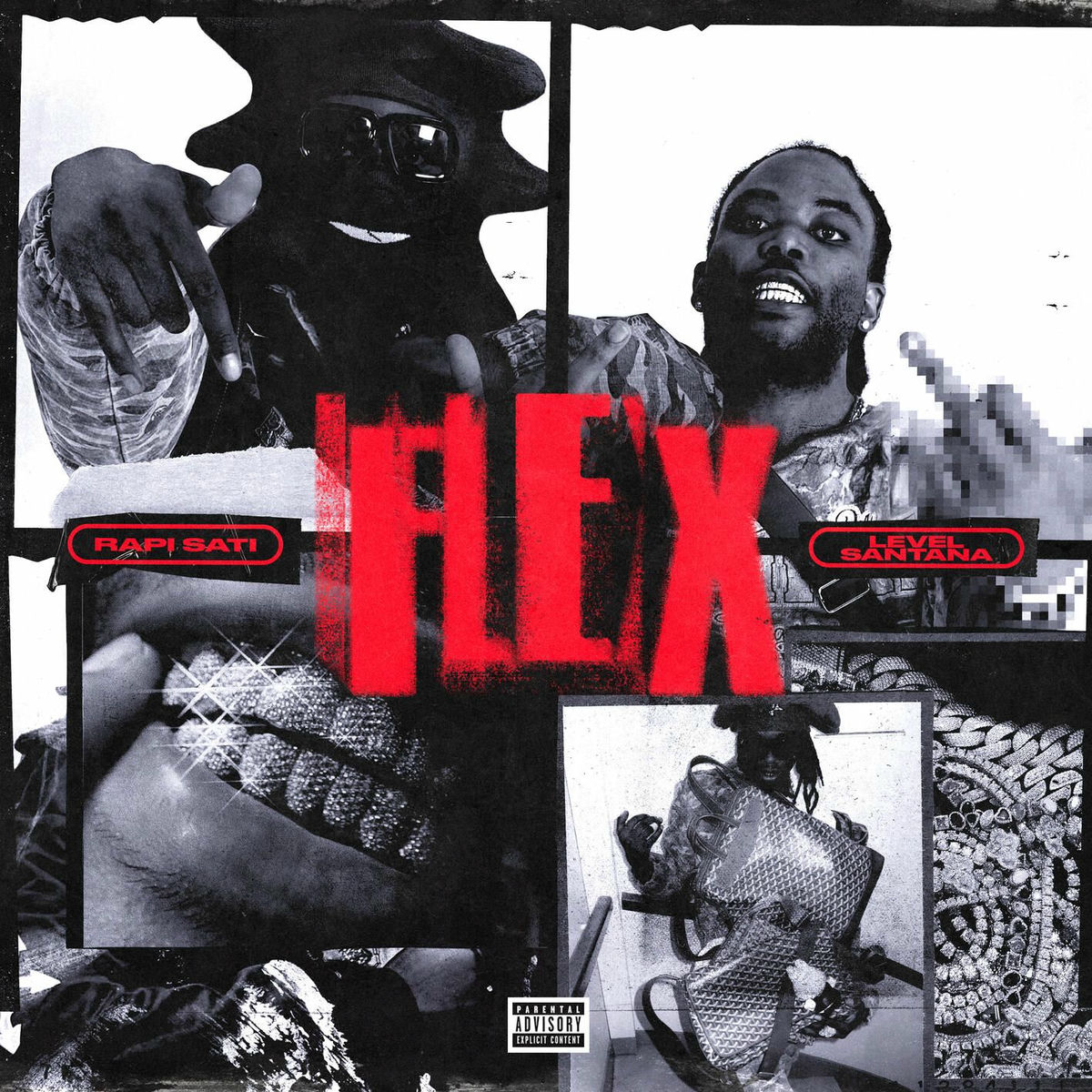 Album cover of FLEX (feat. LEVELSANTANA)