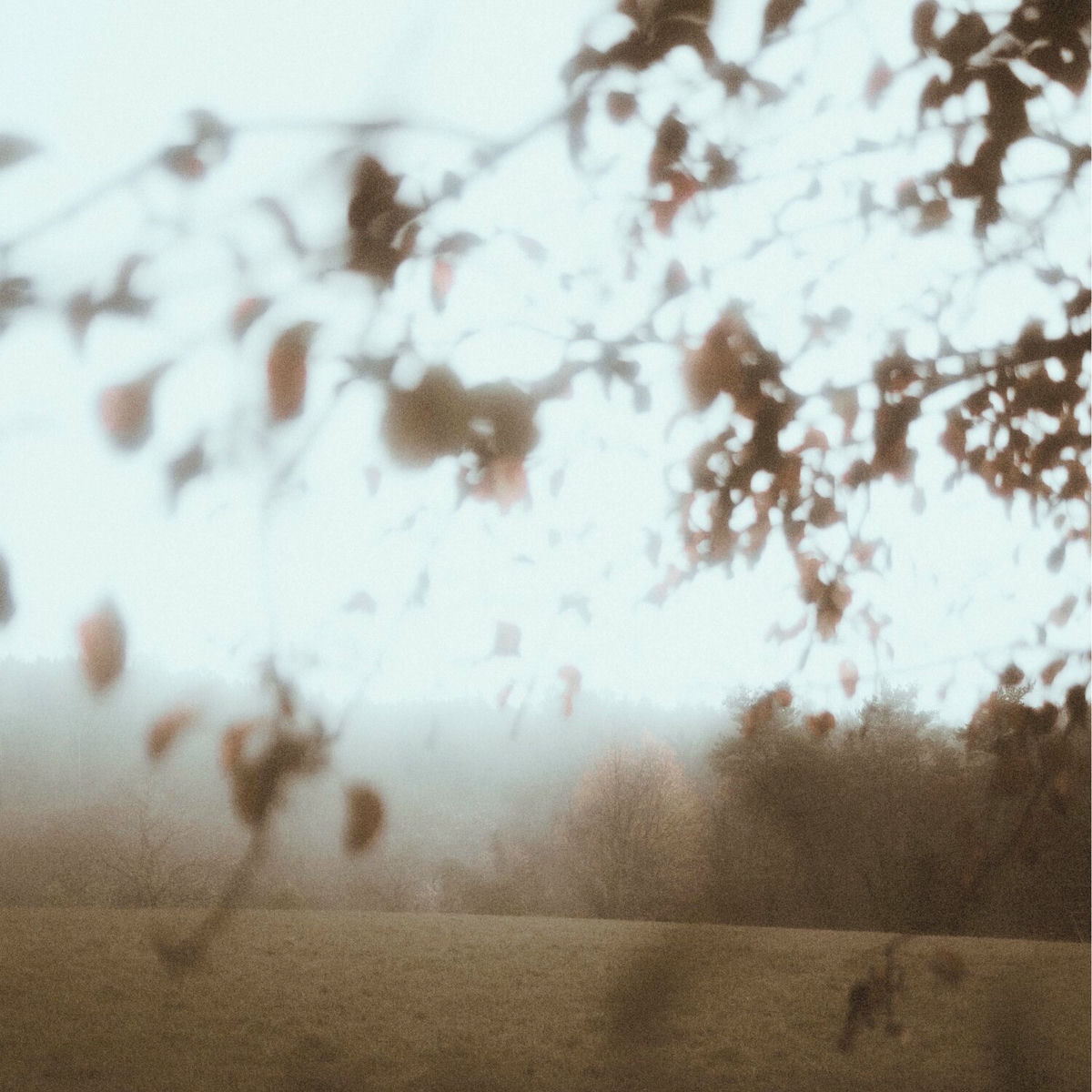 Album cover of Home