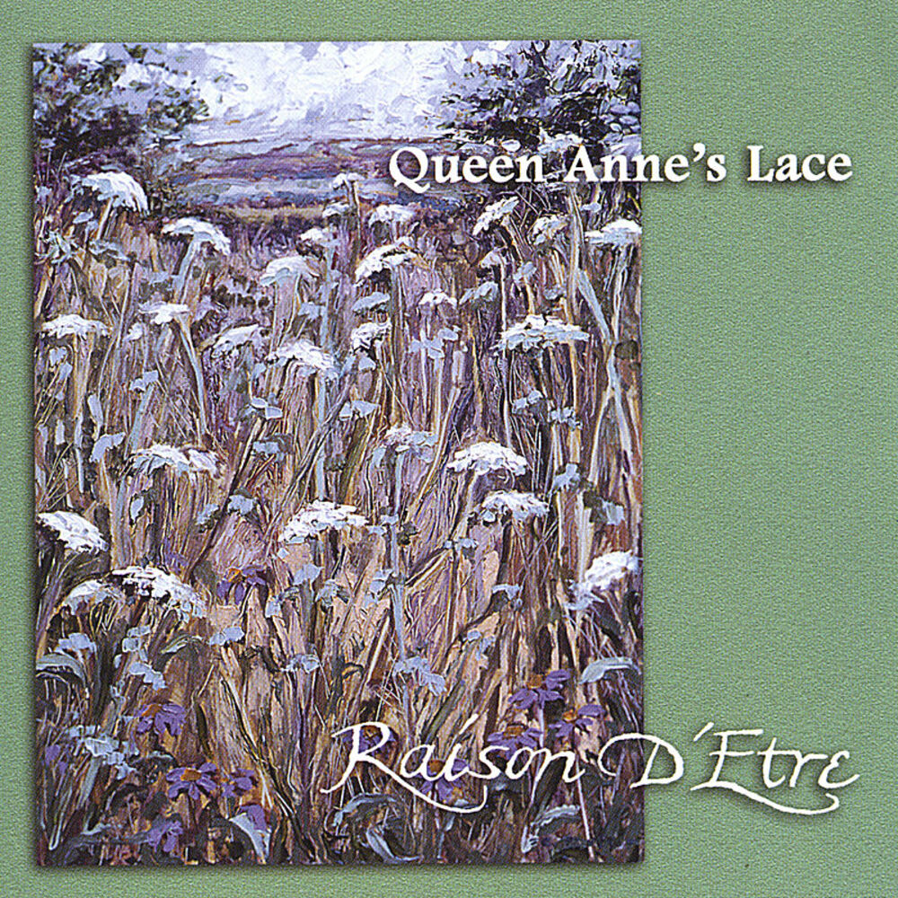 Picture of Queen Anne's Lace