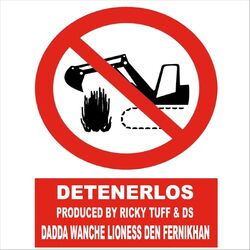 Cover of Detenerlos
