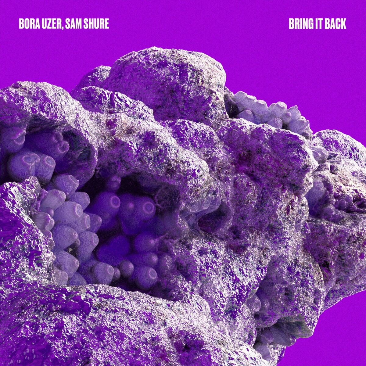 Album cover of Bring It Back