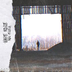 Cover of White Noise