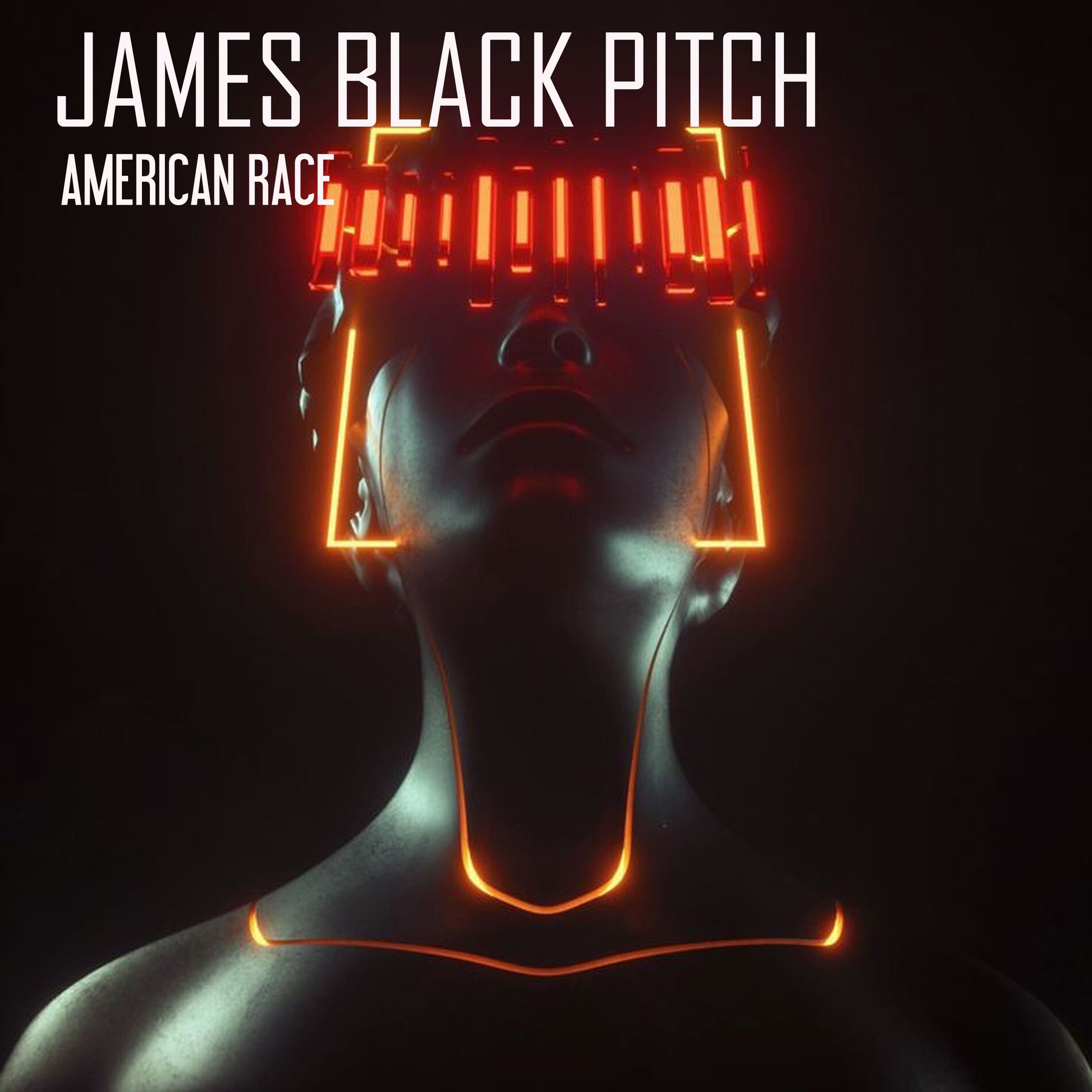 Album cover of American Race