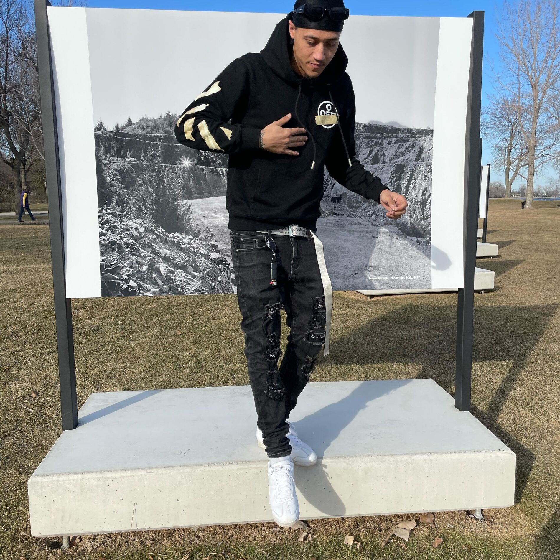 Album cover of birds